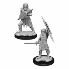 D&D Nolzurs Marvelous Miniatures - Human Fighter Male