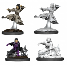 D&D Nolzurs Marvelous Miniatures - Female Human Monk