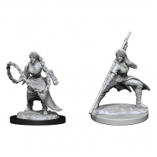 D&D Nolzurs Marvelous Miniatures Miniaturas sin pintar Human Monk Female