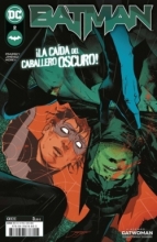 Batman Vol.2 La cada del Caballero Oscuro