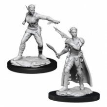 D&D Nolzurs Marvelous Miniatures - Shifter Rogue Female