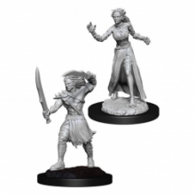 Magic the Gathering Unpainted Miniatures: Vampire Lacerator & Vampire Hexmage