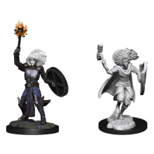 D&D Nolzurs Marvelous Miniatures: Changeling Cleric