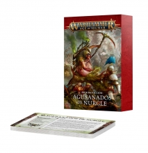 PACK DE FACCIN:AGUSANADOS DE NURGLE ESP