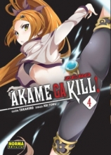 Akame ga Kill! Zero Vol.4 de 10