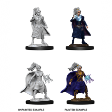 D&D Nolzurs Marvelous Miniatures - Female Human Sorcerer