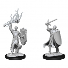 D&D Nolzurs Marvelous Miniatures Miniaturas sin pintar Half-Elf Paladin Male