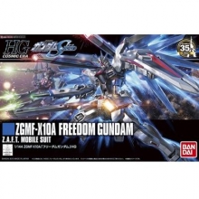 ZGMF-X10A FREEDOM GUNDAM 1/144