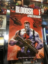 Bloodshot Espritu Renacido n 08