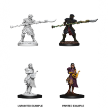 D&D Nolzurs Marvelous Miniatures - Yuan-Ti Purebloods