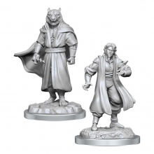 Critical Role Miniaturas sin pintar Male Human Sorcerer Merchant & Tiger Demon